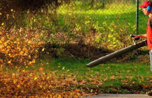 Lawn gear you need for fall cleanup
